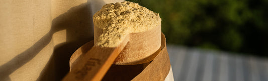 scoop de proteina vegetal