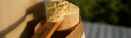 Cómo se elaboran nuestras proteínas vegetales ecológicas en Fitago